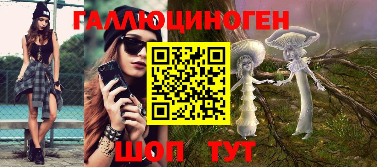Черкесск  Галлюциногенные грибы GOLDEN TEACHER  Вход с VPN 